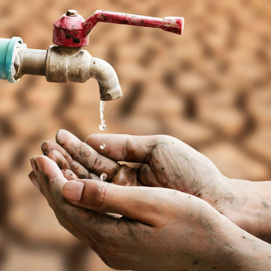 Why Boreholes Fail—And How LiquaFlo Helps You Avoid Costly Mistakes