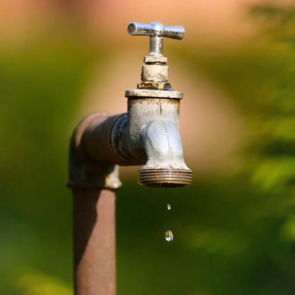 Can Boreholes Run Dry? Understanding Borehole Water Supply and Rainfall